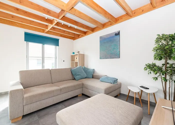 Stylish Polder House In A Quiet Location